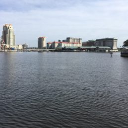 This is why we live in Tampa. It's February sunny and hot as hell!! After all the rain yesterday this is appreciated. This is why we live in Tampa. It's February sunny and hot as hell!! After all the rain yesterday this is appreciated.