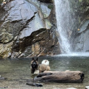 Sturtevant Falls - Waterfall moment - Hiking Near Me Sturtevant Falls - Waterfall moment - Hiking Near Me