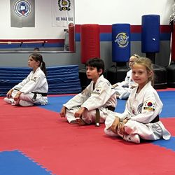 Martial Arts usa-il - Amazing place , very good school , we are going there 6 y