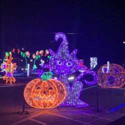 Spooktacular Light Show