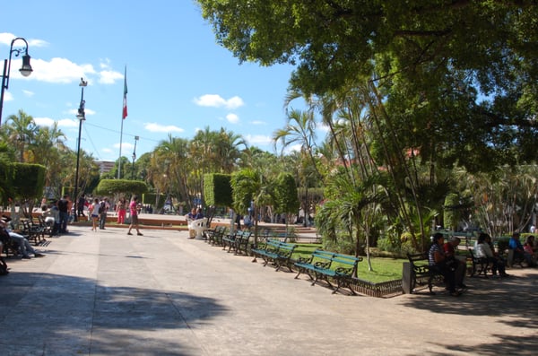 Plaza Grande by null