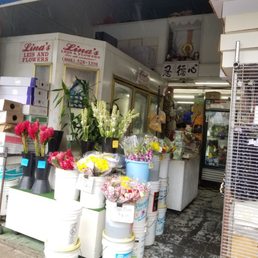 Store front Store front