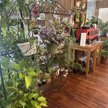 Semicolon Cafe - Coffee & Tea Near Me - Jersey City, New Jersey