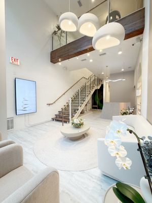 U by Dr. Jones by null