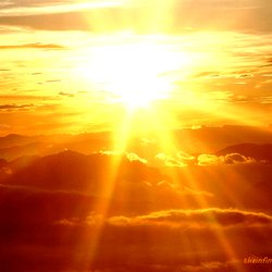 Healing Light Mobile Massage - Connect~Heal~Grow