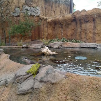Mississippi Aquarium - Aquariums Near Me - Gulfport, Mississippi