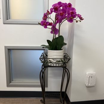 San Diego Essential Aesthetics - Decor - Medical Spas Near Me - San Diego, California San Diego Essential Aesthetics - Decor - Medical Spas Near Me - San Diego, California