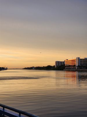 Tampa Riverwalk by null