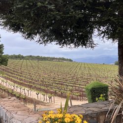 David Arthur Vineyards