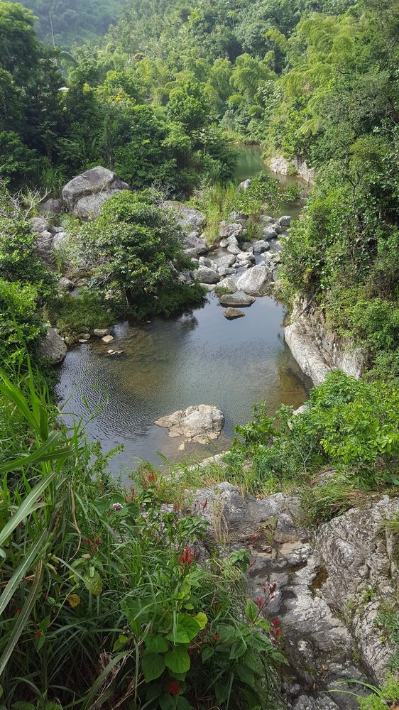 CASCADA CHORRO DE DOÑA JUANA Updated June 2024 PR149 Km 41.3