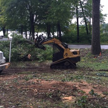 AAA Irish Tree Service - Tree Services Near Me AAA Irish Tree Service - Tree Services Near Me