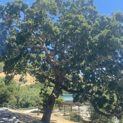 Laurelwood Park/Sugarloaf