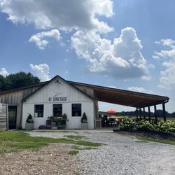 61 Vineyard - Outside
