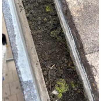 Spotless Cleaning Services - Moss growing in my gutters. - Pressure Washers Near Me