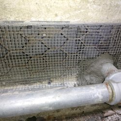 Barricade Rodent Proofing