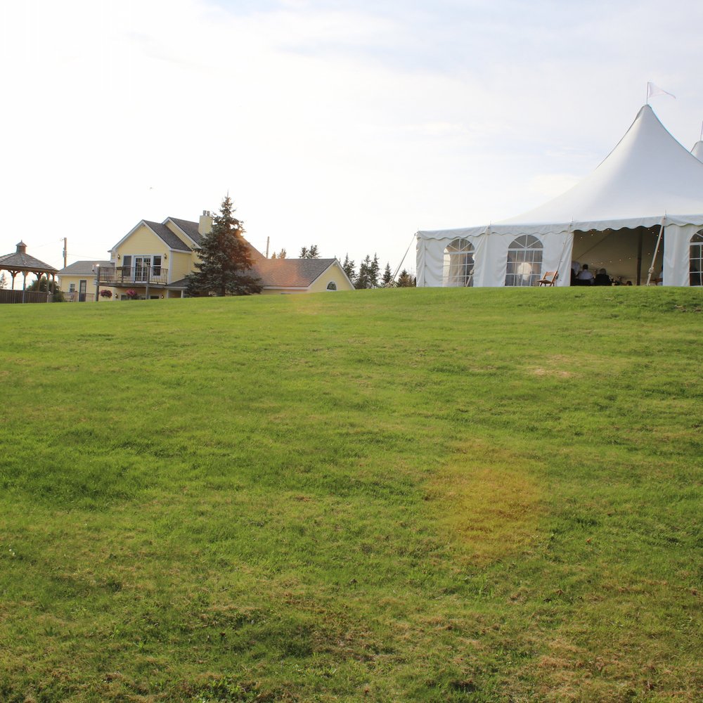 Celebration Rentals - Party Supplies Near Me - Brandon, Vermont Celebration Rentals - Party Supplies Near Me - Brandon, Vermont