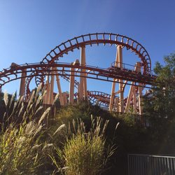 KONG