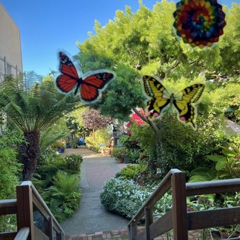 Coalesce A Book Store & More - Don't miss the garden area in the back. - Bookstores Near Me - Morro Bay, California Coalesce A Book Store & More - Don't miss the garden area in the back. - Bookstores Near Me - Morro Bay, California