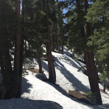 Cloud's Rest - Early june 2016 - no trail visible. just go down - Hiking Near Me - Yosemite, California Cloud's Rest - Early june 2016 - no trail visible. just go down - Hiking Near Me - Yosemite, California