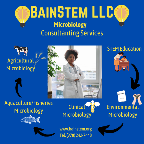 Bainstem - mold inspector in Monterey, CA