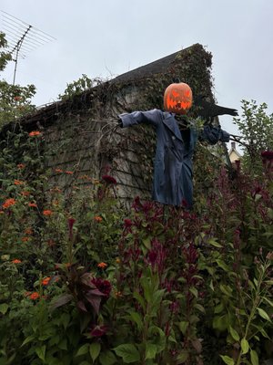 Bird's Nest Cafe by null