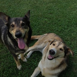 Marble Mountain Guest Ranch welcoming committee