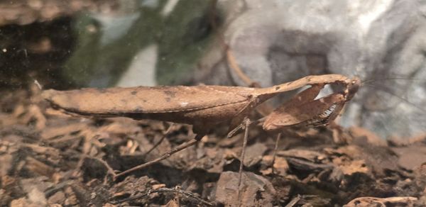 Cincinnati Zoo & Botanical Garden by null