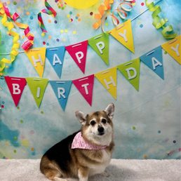 Birthday Package! Birthday Package!