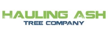 Hauling Ash Tree Company - tree service in Versailles, KY