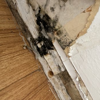All Points Home Inspections - Ugh signs of mold or a mold Ike substance! I test for
Mold! If you suspect mold, I will find it. - Home Inspectors Near Me - Rocklin, California All Points Home Inspections - Ugh signs of mold or a mold Ike substance! I test for
Mold! If you suspect mold, I will find it. - Home Inspectors Near Me - Rocklin, California