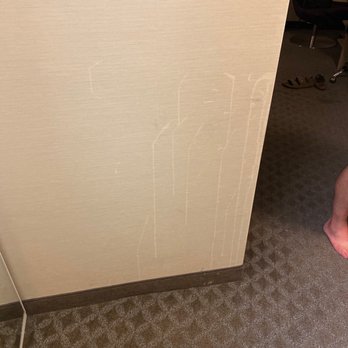 Radisson Hotel Duluth-Harborview - Stains on wall - Hotels Near Me - Duluth, Minnesota