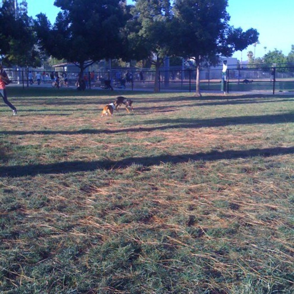 Wells Park - Dog Parks Near Me - El Cajon, California Wells Park - Dog Parks Near Me - El Cajon, California