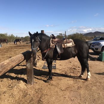 Tucson Mountain Stables - Horseback Riding Near Me Tucson Mountain Stables - Horseback Riding Near Me