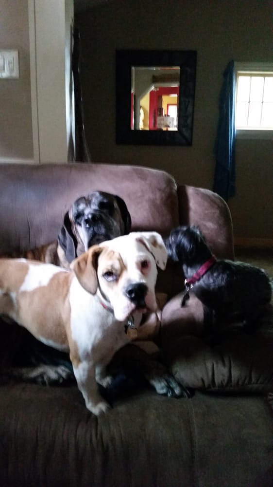 LAFAYETTE ROAD VETERINARY HOSPITAL Updated September 2024 12