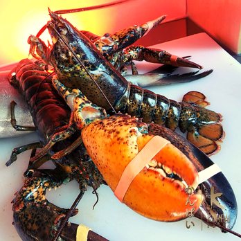 Kampai Sushi - a lobster on a cutting board - Japanese Near Me - Brossard, Quebec