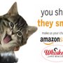 Photo of Whiskers Pet Rescue
