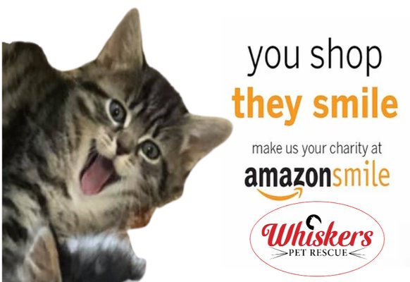 Whiskers Pet Rescue