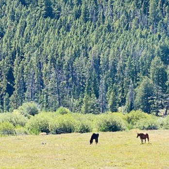 Hyde RV Park - RV Parks Near Me - Wise River, Montana Hyde RV Park - RV Parks Near Me - Wise River, Montana