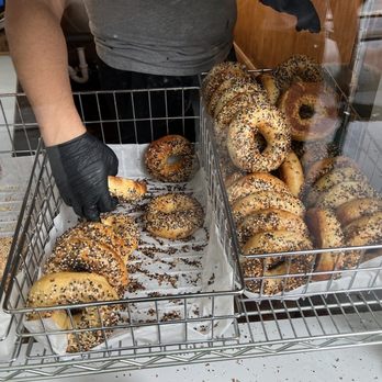Old Salt Fish and Bagels - The nice staffer consolidating everything bagels into one basket - Bagels Near Me - Seattle, Washington Old Salt Fish and Bagels - The nice staffer consolidating everything bagels into one basket - Bagels Near Me - Seattle, Washington