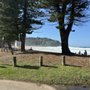 Whale Beach