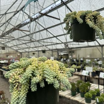 Half Moon Bay Nursery - Nurseries & Gardening Near Me - Half Moon Bay, California