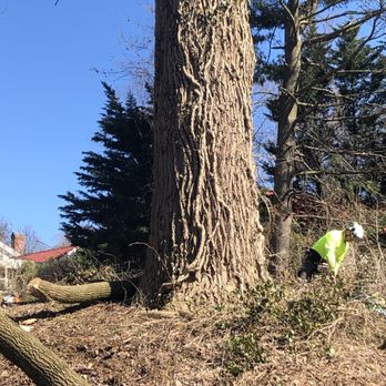 Hometown Tree & Landscaping - Landscaping Near Me Hometown Tree & Landscaping - Landscaping Near Me