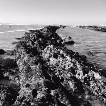 Fitzgerald Marine Reserve - Tide pools within these rocks. - Parks Near Me - Moss Beach, California Fitzgerald Marine Reserve - Tide pools within these rocks. - Parks Near Me - Moss Beach, California