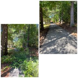 Cutting Edge Lawn Care - Need brush removal or fall prep? Let's get your yard ready too! 
#BrushRemoval #FallPrep #BeforeAndAfter #CuttingEdgeLawnCare