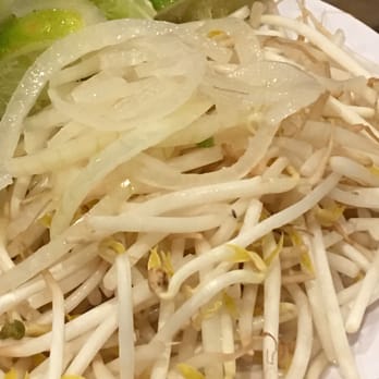 Pho 21 - Nats on their bean sprouts. Like a casual day. Disgusting. - Vietnamese Near Me - Buena Park, California Pho 21 - Nats on their bean sprouts. Like a casual day. Disgusting. - Vietnamese Near Me - Buena Park, California