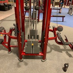 Arm Day! Arm Day!