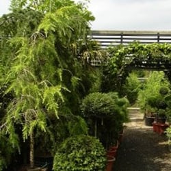 Palmers Plants & Nursery