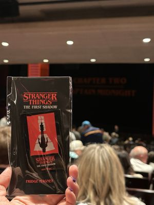 Marquis Theatre by null