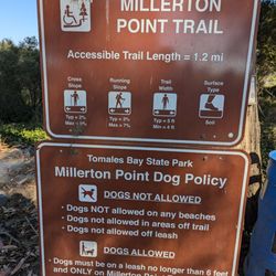 Millerton Point