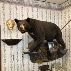 The Greenwood Cafe - This bear wants your pancakes